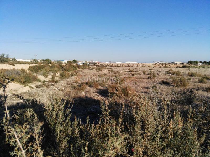 Terreno  parcela rústica edificable