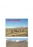 parcelas en Argentina montañas