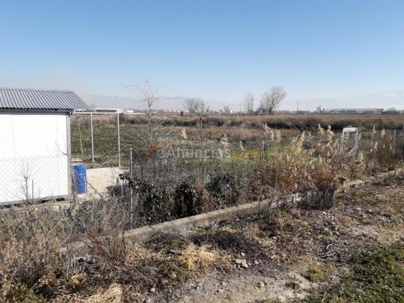 Vendo huerto fértil en la comarca de l Vega de Granada