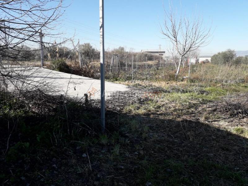 Vendo huerto fértil en la comarca de l Vega de Granada