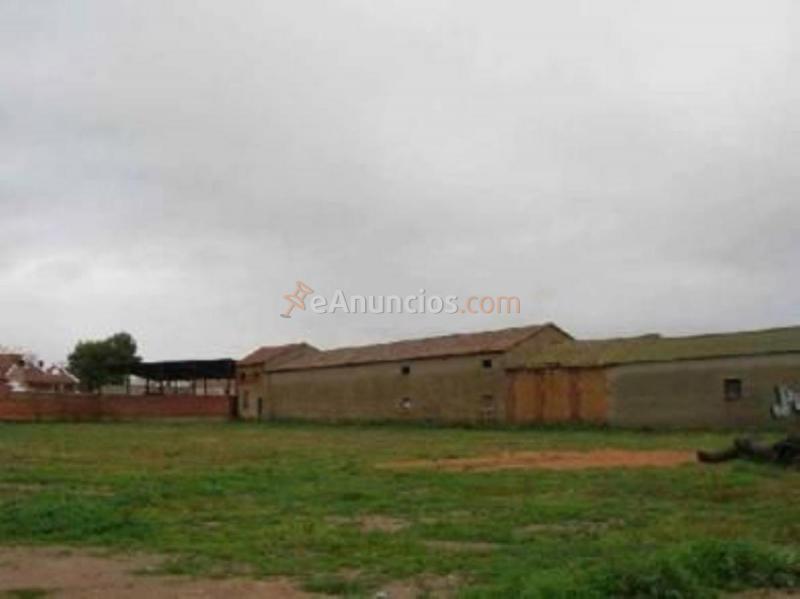 Parcela Rustica en venta en  Alovera