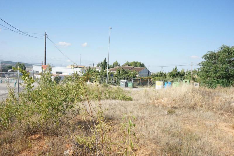 Parcela Rustica en venta en  Cañaverales, Requena