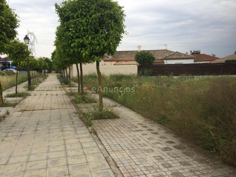 Parcela Rustica en venta en  Salteras