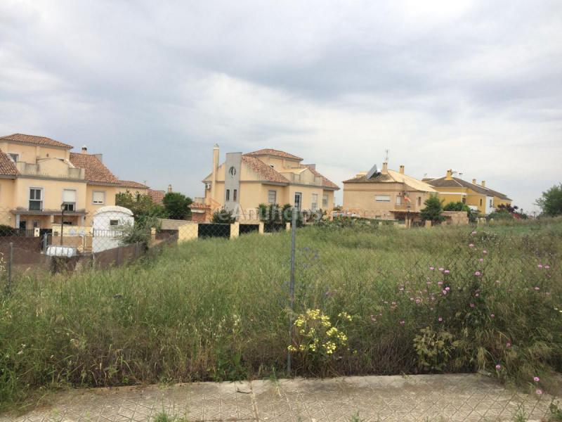 Parcela Rustica en venta en  Salteras