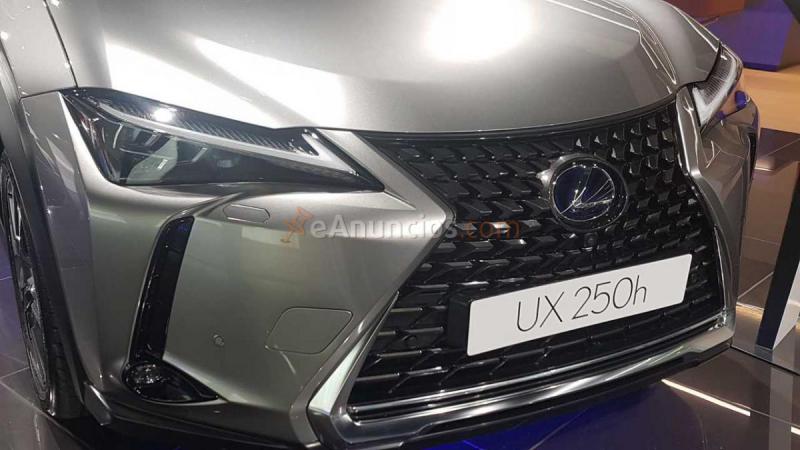 Lexus UX 250h 2wd BUSINESS HYBRIDO NUEVO A ESTRENAR