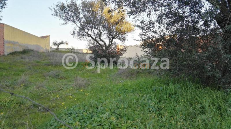 Se Vende Solar en Oropesa (Toledo)