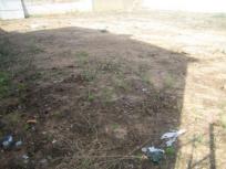 Parcela Rustica en venta en  Albaida del Aljarafe