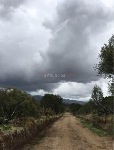 Venta rancho buena vista tlaxcala