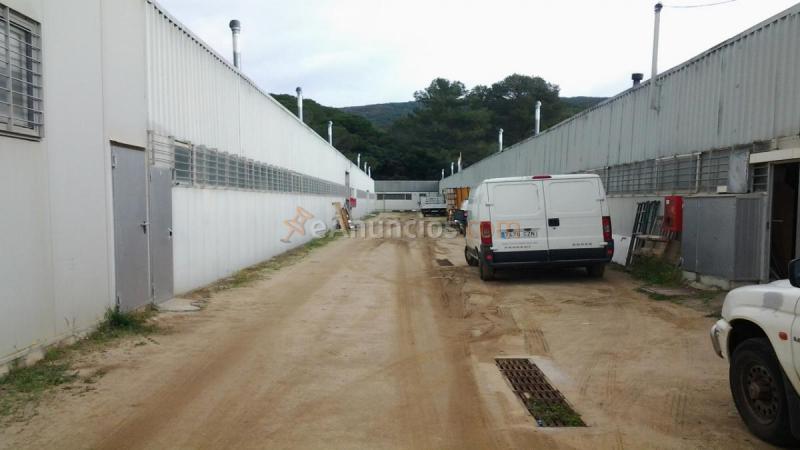 MATARÓ, Naves  Almacén, Zona C32 (R0001)