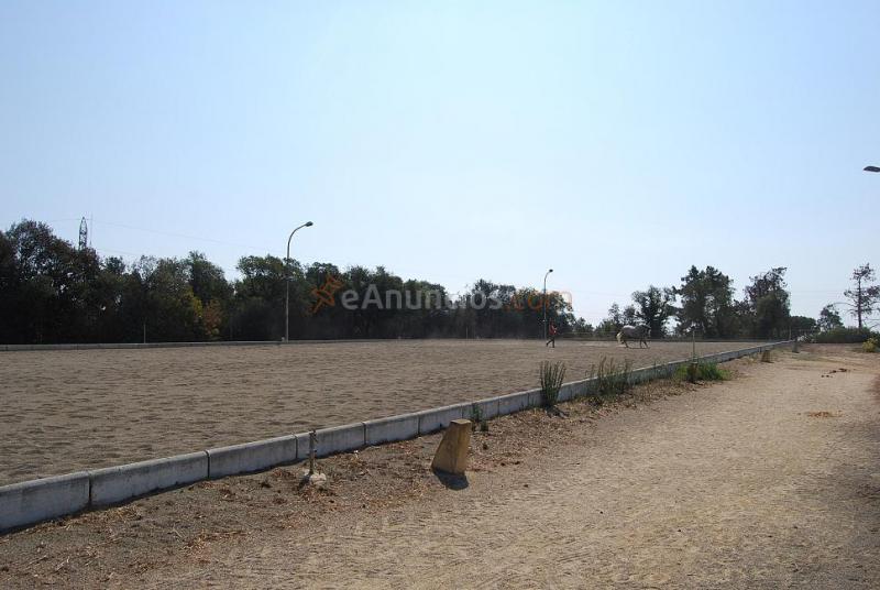 Finca ganadera (Cuenta con licencias) R0002