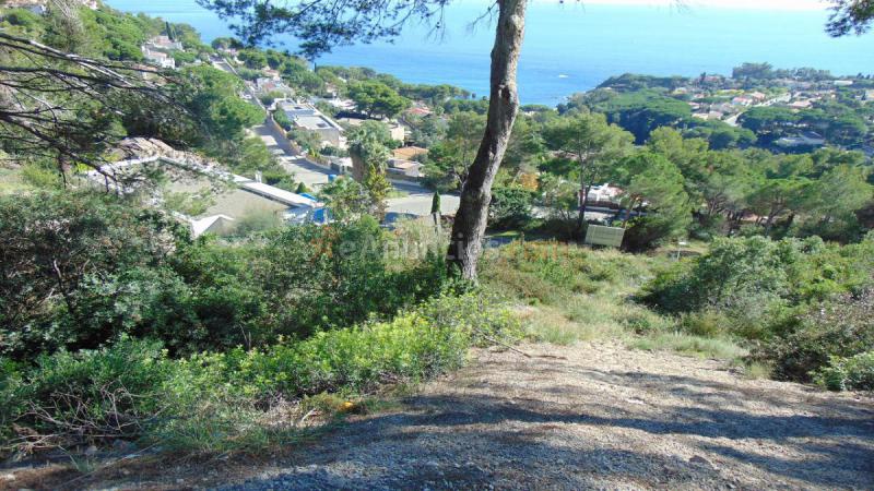 BLANES, Costa Brava. zona exclusiva (0004)