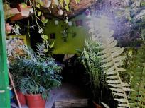 VENDEMOS Casa rústica con terrenos