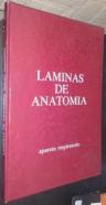 Láminas de anatomía. Aparato respiratorio