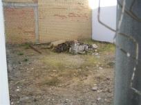 Parcela Rustica en venta en  Olivares