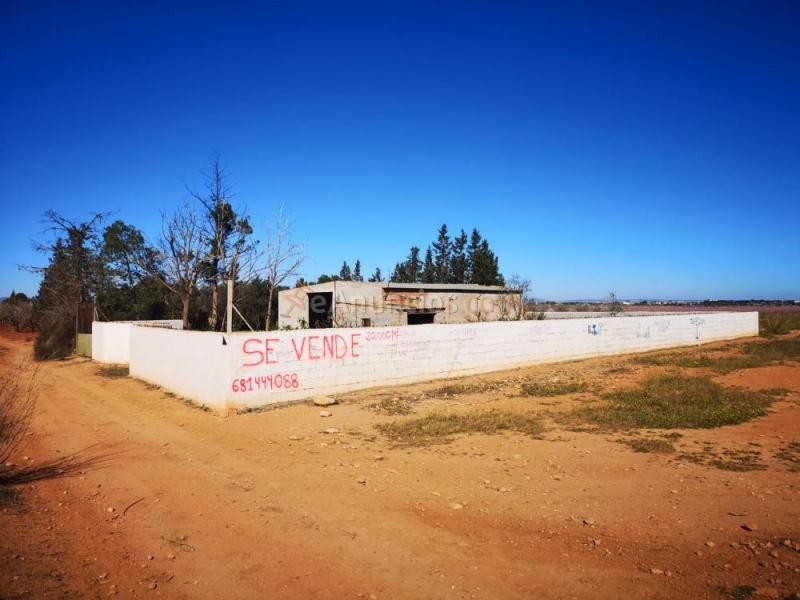 Venta de 2 fincas en la aljorra