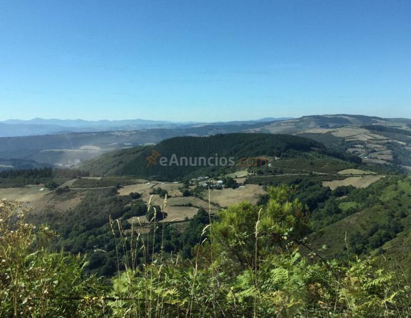 Vendo casa en Galicia