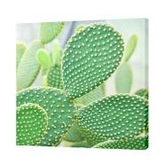 Lienzo Hojas de Cactus 58 x 58 cm