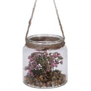 Tarro de cristal colgante con planta 10 cm