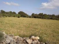 Parcela Rustica en venta en  Felanitx centro, Felanitx