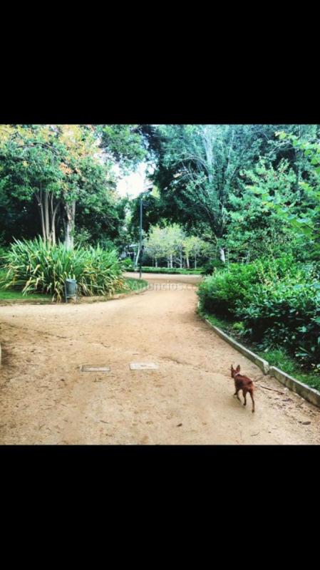 Apartamento en alquiler en  Sarri-Sant Gervasi, Barcelona