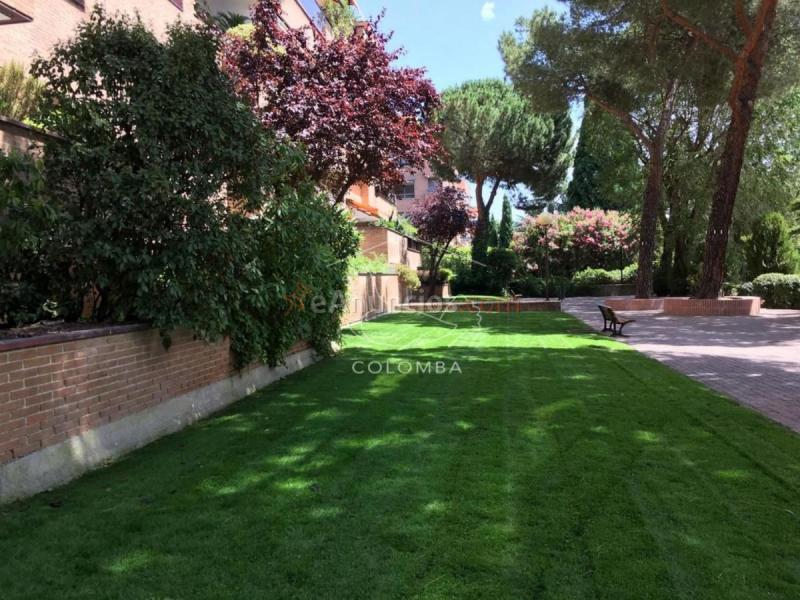 Apartamento en alquiler en  Hortaleza, Madrid