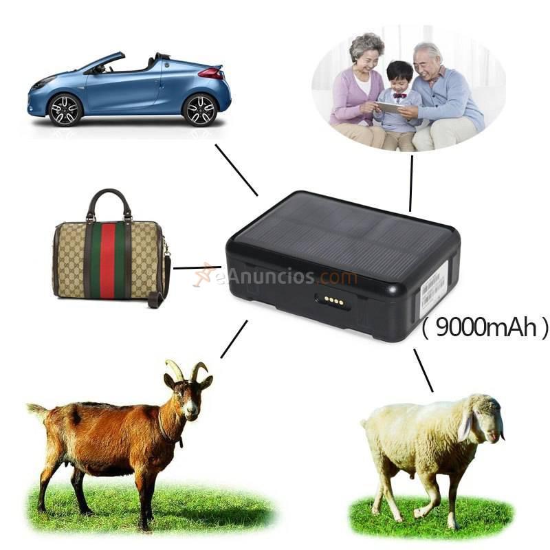 Gps para animales - localizador de ganado y coches