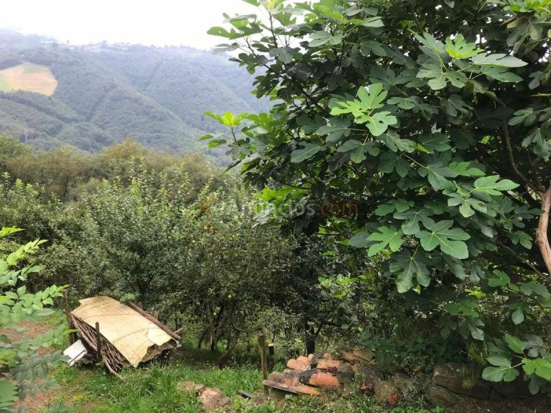 Casa Rural en venta en  Los Nadales, Requejo - Rozaes - Oñón, Mieres del Camino