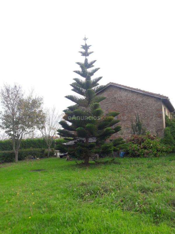 Adosado en venta en Camino Cuadrante Cabueñes, Somió - Cabueñes, Gijón