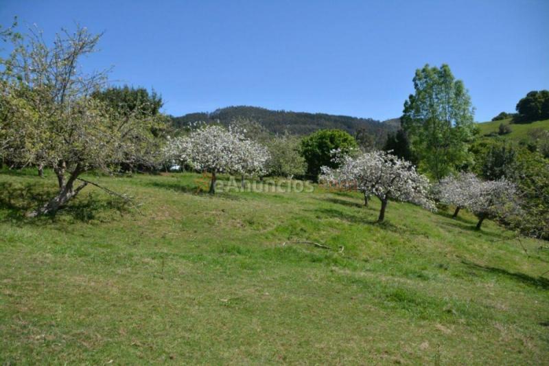 Parcela Rustica en venta en  Parroquias Norte, Siero