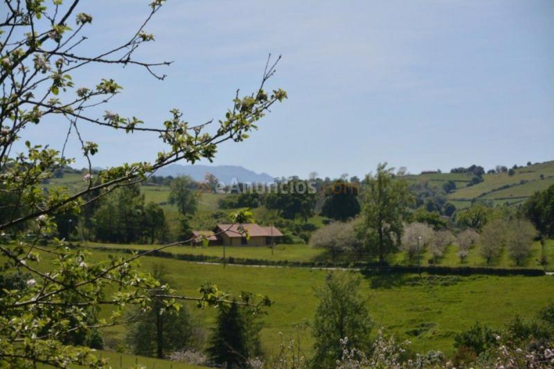 Parcela Rustica en venta en  Parroquias Norte, Siero