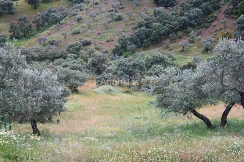 Casa Rural en venta en  Villarta