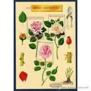 Compro sellos de Francia, Alemania, Austria al peso.