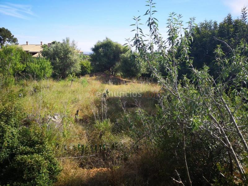 Parcela Rustica en venta en  Sa Cova baixa, Sa Cabaneta, Marratxi