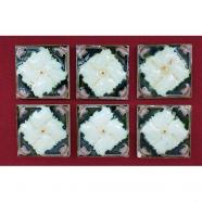 6 azulejos modernistas principios siglo xx