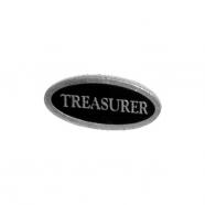 Pin titulo treasurer