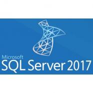 Microsoft - SQL Server 2017 Standard - 22137803