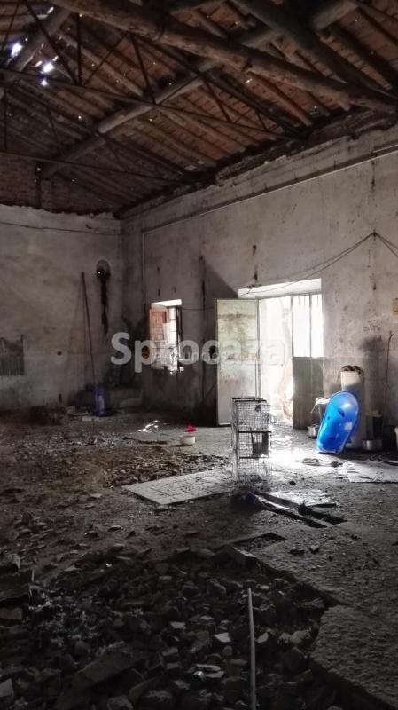 Venta de Almazara en Lagartera