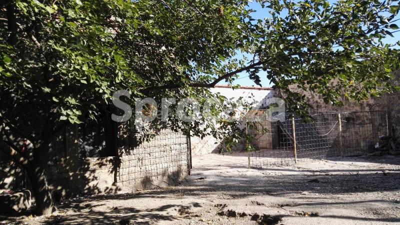 Venta de Almazara en Lagartera