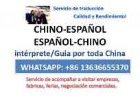 Traductor interprete de chino español guangzhou shenzhe