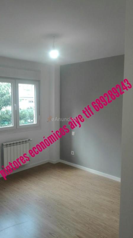 pintores economicos en alcorcon 689289243 alye