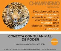 Curso verano conecta con tu animal de poder