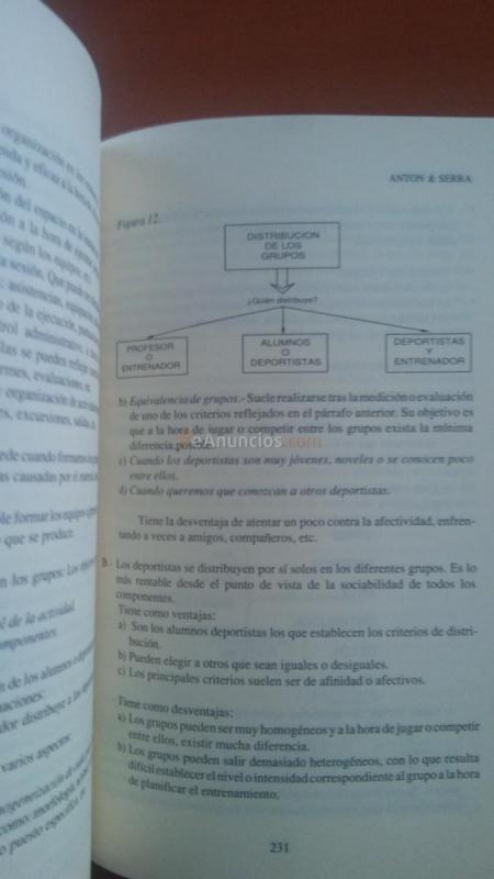 Entrenamiento deportivo en edad escolar. Libro 308 pág.