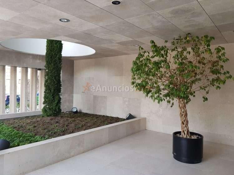 Superficie disponible en Pío XII. Edificio recién reformado