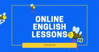 Native ONLINE English Teacher