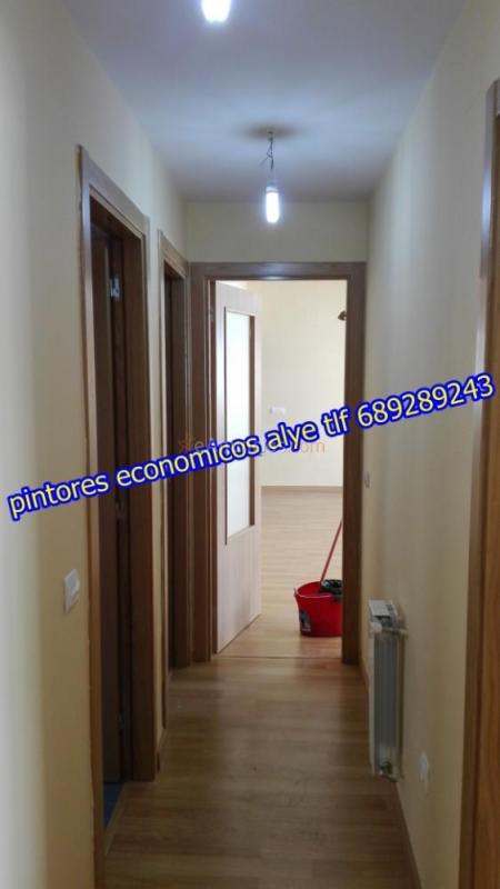 pintores economicos en majadahonda 689289243 alye