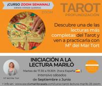 Curso zoom iniciación a la lectura mariló