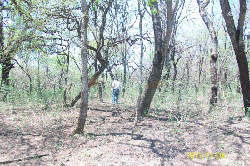 Vendo campo en Argentina 8700ha