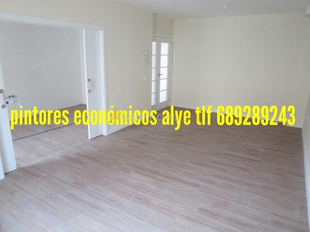 pintores economicos en leganes 689289243 alye