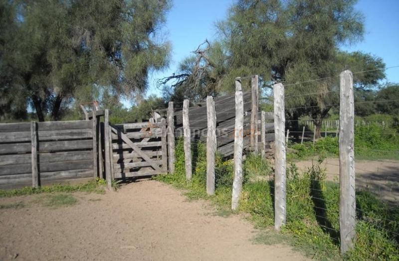 Finca en venta la susana.