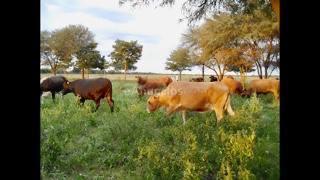 Estancia el porvenir en venta.